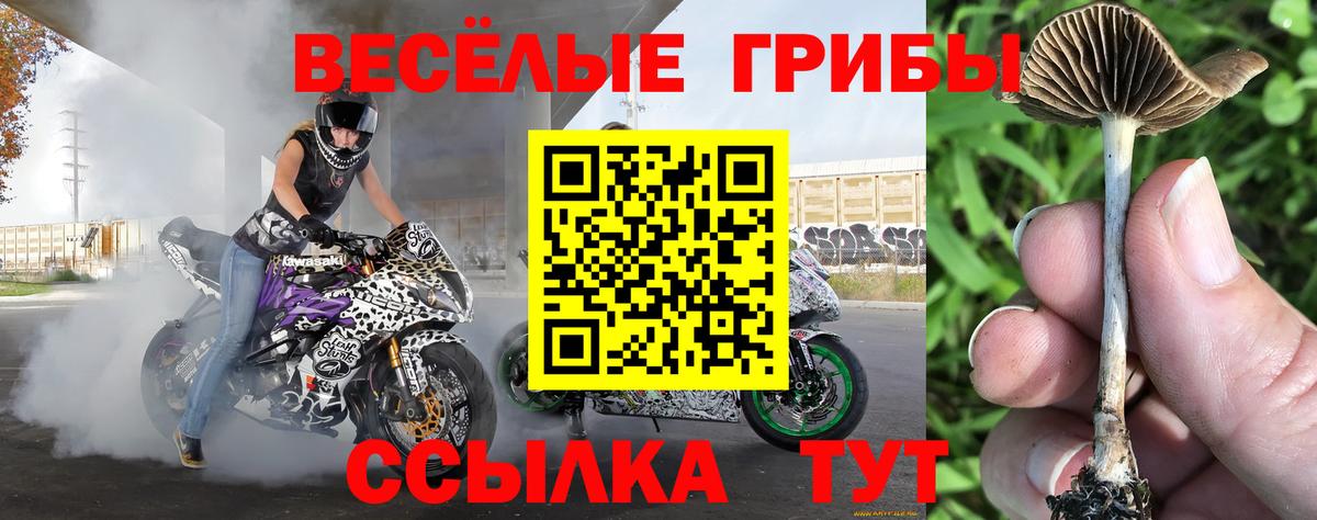 Верхняя Салда  Галлюциногенные грибы мухоморы  Вход с VPN 